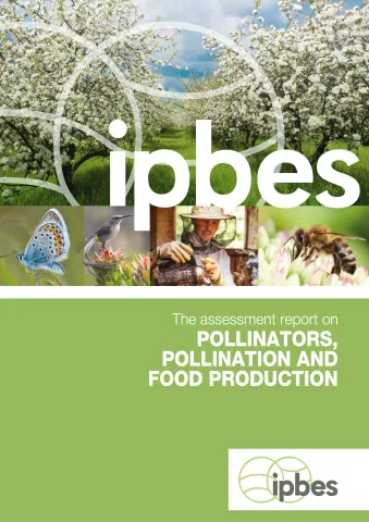 IPBES | Assessment Report on Pollinators, Pollination and Food Production