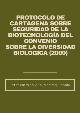 1.1. Protocolo de Cartagena sobre Seguridad de la Biotecnologกa del Convenio sobre la Diversidad Biologica