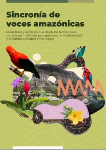 Sincronía de voces amazónicas: Prioridades y acciones que desde los territorios se consideran infaltables para gestionar la biodiversidad y el cambio climático en la región