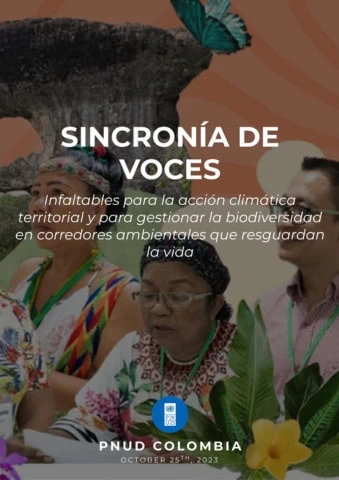 Sincronia de voces